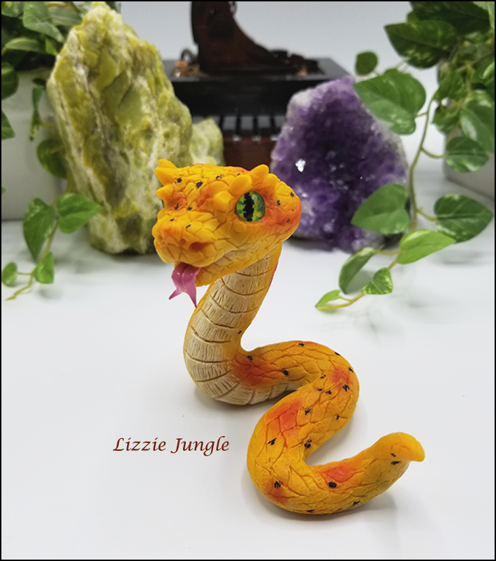 Zarina - Yellow Eyelash Pit Viper Snake