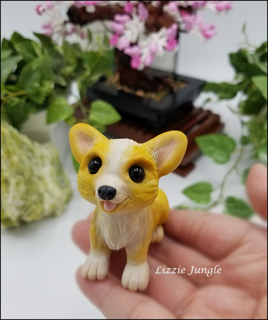 Kayla - Corgi Puppy