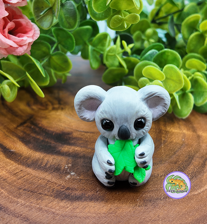 Bynx - Sweet Koala