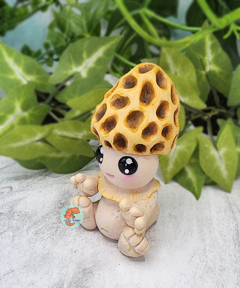 Hatchi Bun - Morel Mushroom