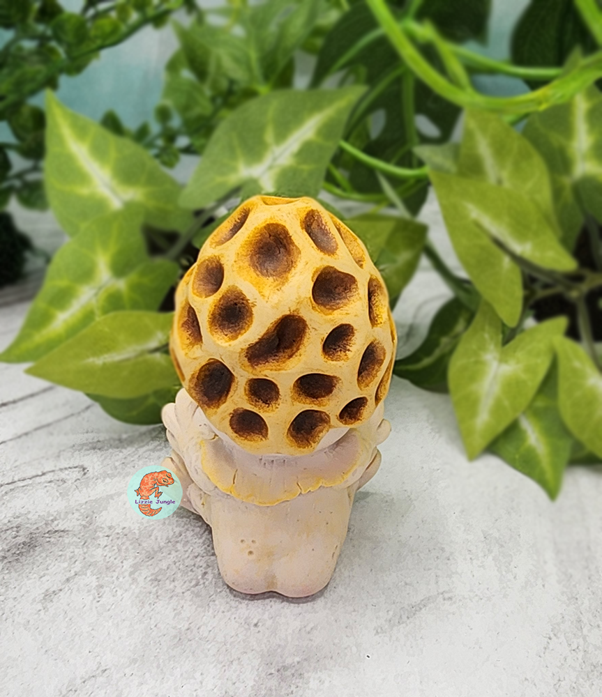 Hatchi Bun - Morel Mushroom