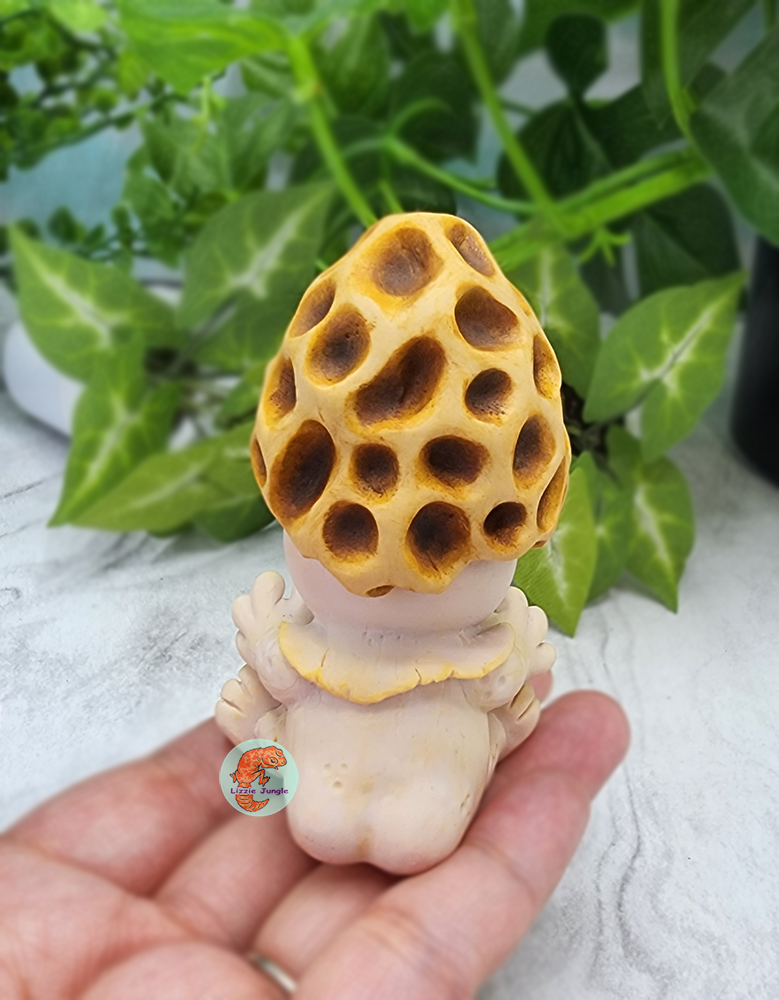 Hatchi Bun - Morel Mushroom