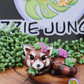 Koda - Red Panda and Succulents