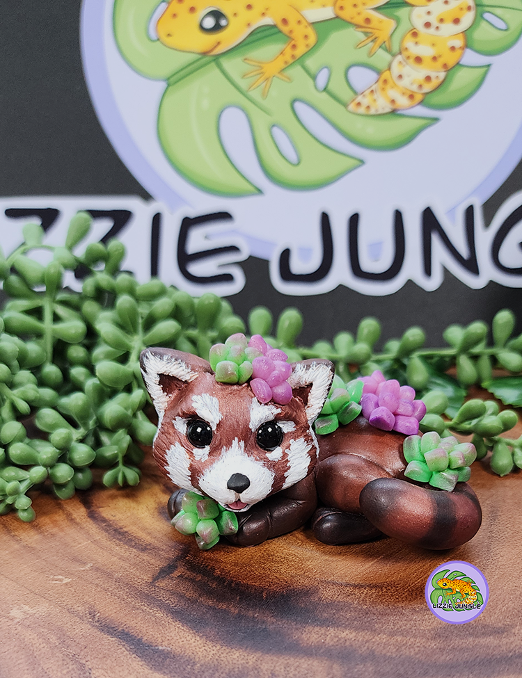 Koda - Red Panda and Succulents