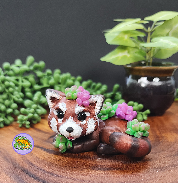 Koda - Red Panda and Succulents