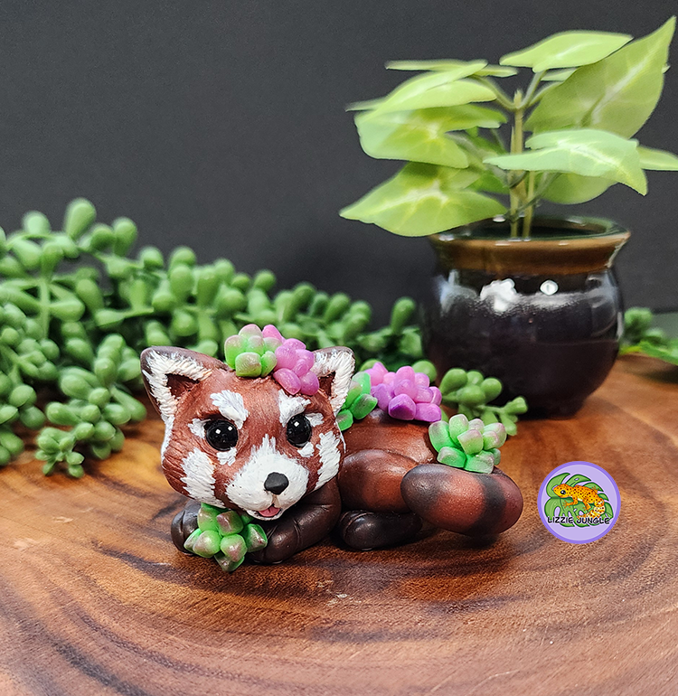 Koda - Red Panda and Succulents