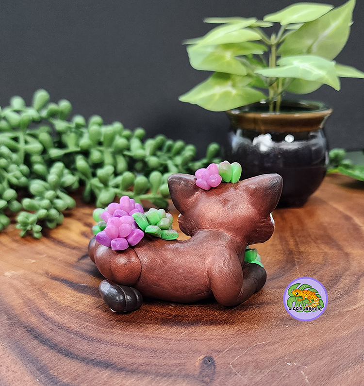 Koda - Red Panda and Succulents