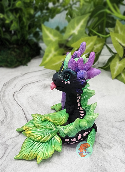 Pixie Kelp - Plant Water Dragon