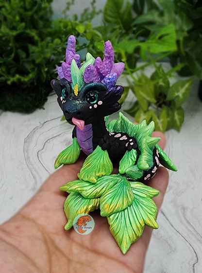 Pixie Kelp - Plant Water Dragon