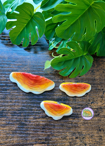 Chicken of The Woods Mushroom Magnet