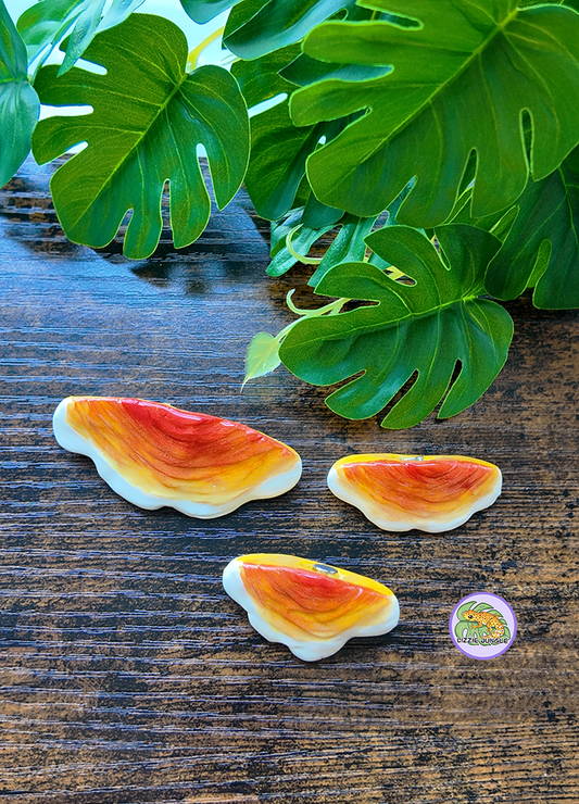 Chicken of The Woods Mushroom Magnet