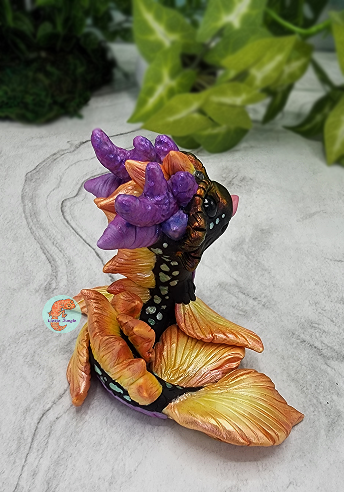 Nala - Sunny Water Dragon