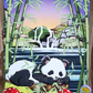 Sleepy Panda Resting in Bamboo Field - Art Print