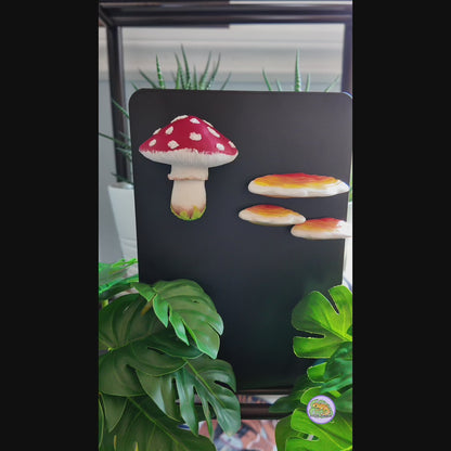 Amanita Mushroom Magnet