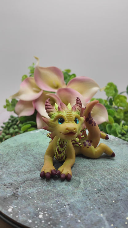 Pickle Wings - Plant Dragon