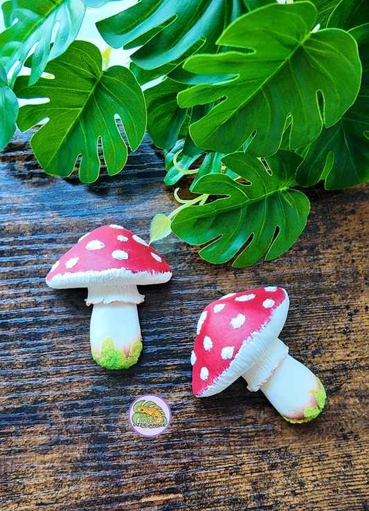 Amanita Mushroom Magnet