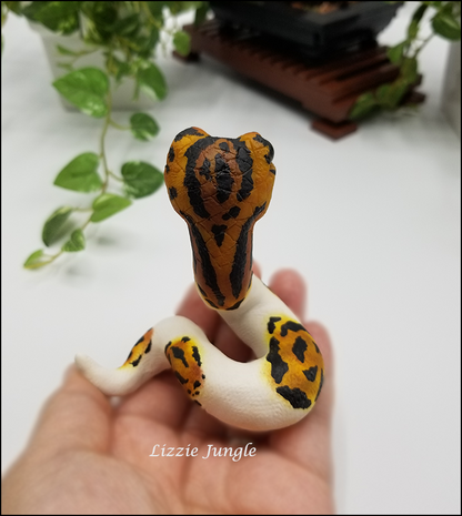 Ophelia - Pied Ball Python