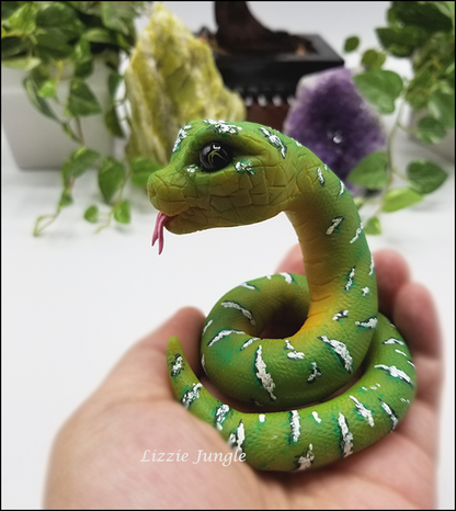 Mobius - Emerald Green Tree Python