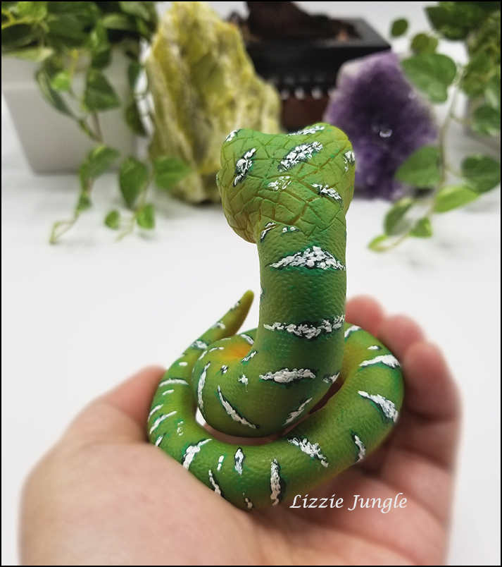 Mobius - Emerald Green Tree Python