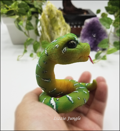 Mobius - Emerald Green Tree Python