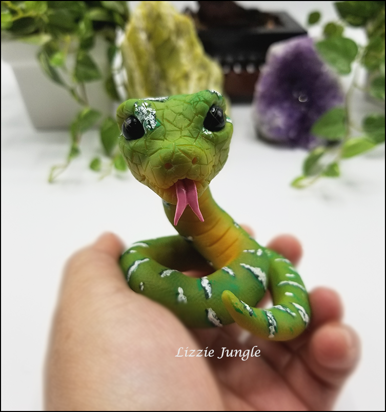 Mobius - Emerald Green Tree Python