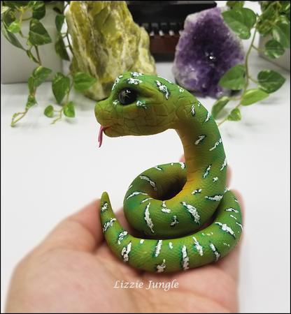 Mobius - Emerald Green Tree Python