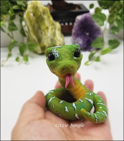 Mobius - Emerald Green Tree Python