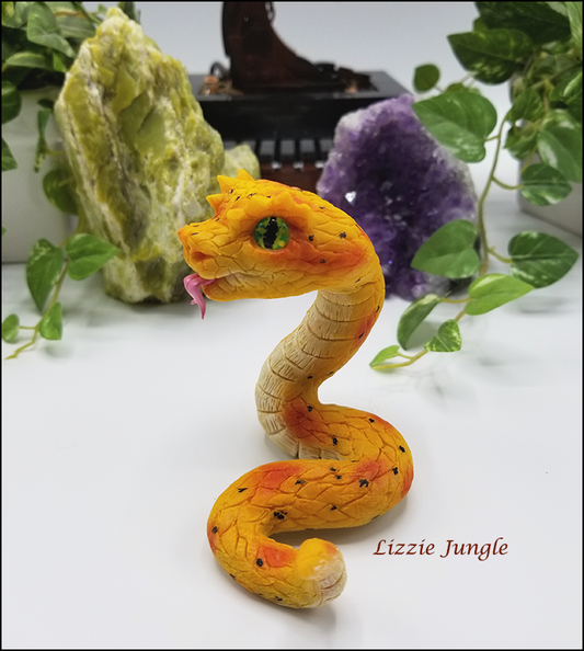 Zarina - Yellow Eyelash Pit Viper Snake