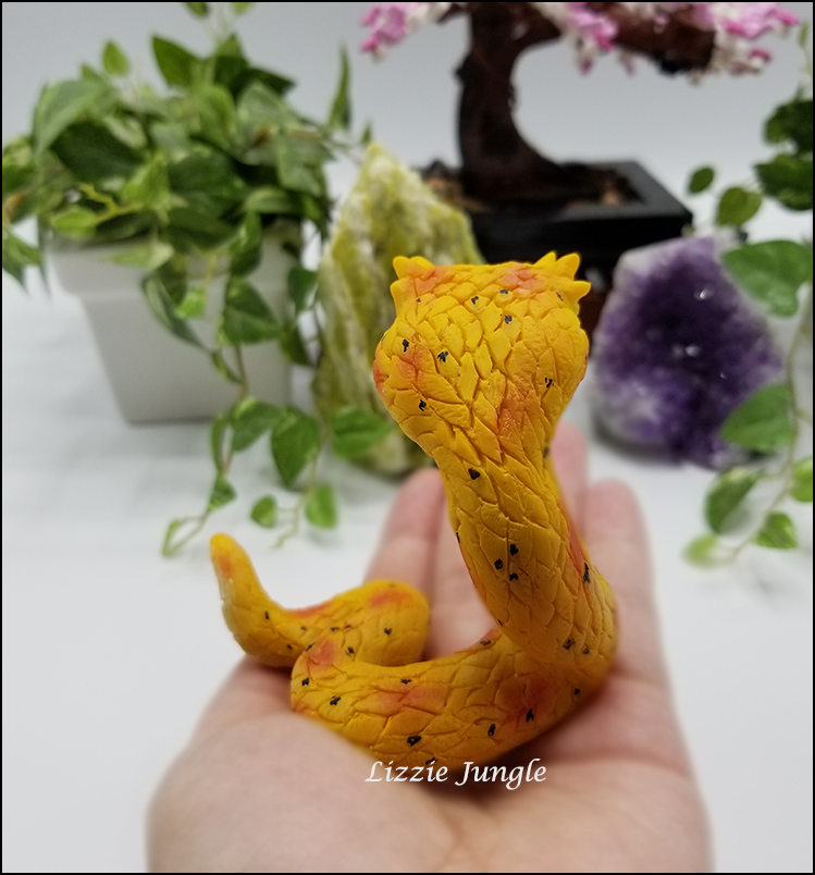 Zarina - Yellow Eyelash Pit Viper Snake