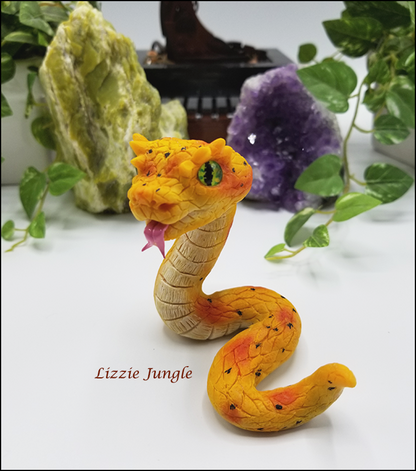 Zarina - Yellow Eyelash Pit Viper Snake