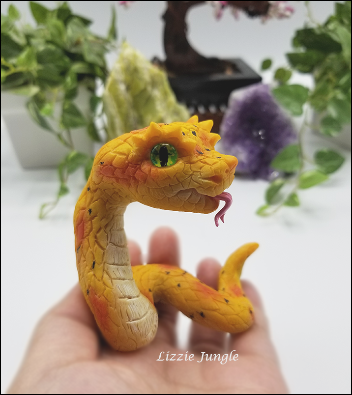 Zarina - Yellow Eyelash Pit Viper Snake