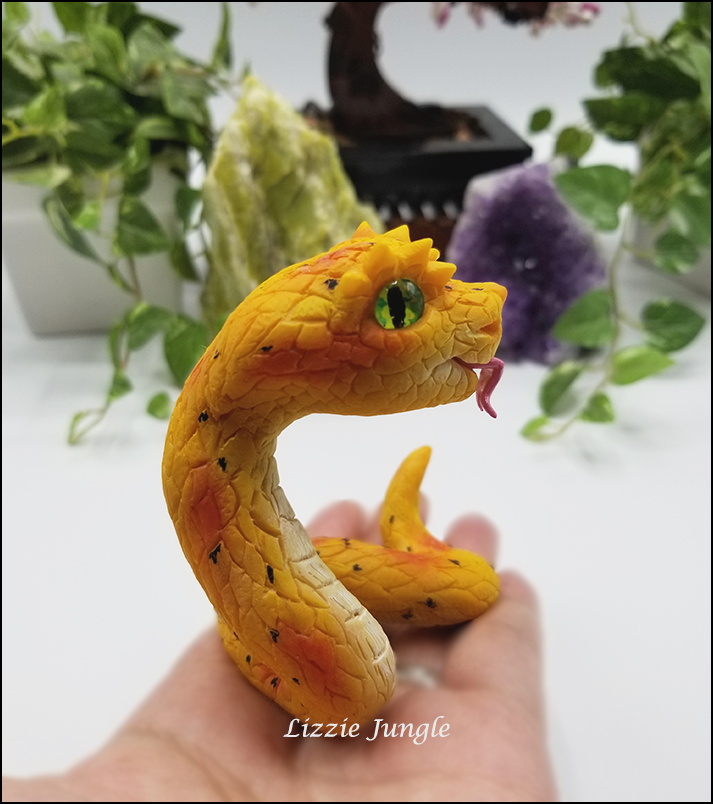 Zarina - Yellow Eyelash Pit Viper Snake