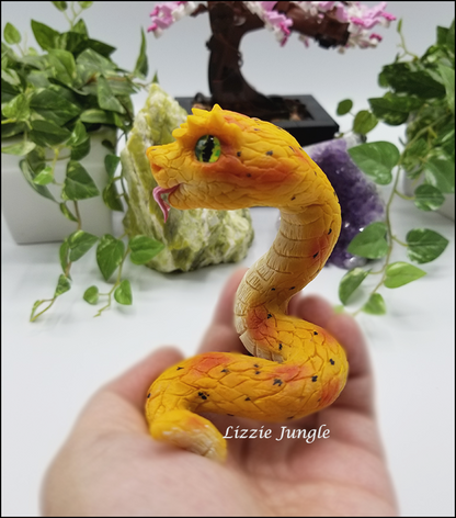 Zarina - Yellow Eyelash Pit Viper Snake