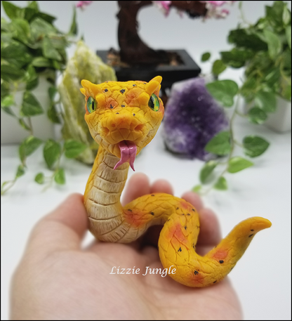 Zarina - Yellow Eyelash Pit Viper Snake