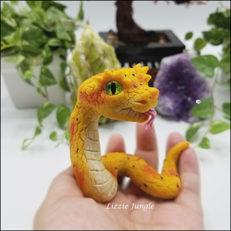 Zarina - Yellow Eyelash Pit Viper Snake