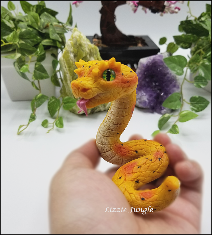 Zarina - Yellow Eyelash Pit Viper Snake