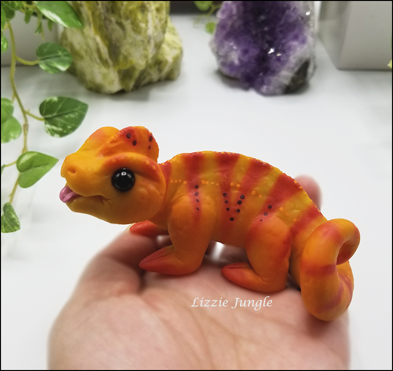 orange chameleon