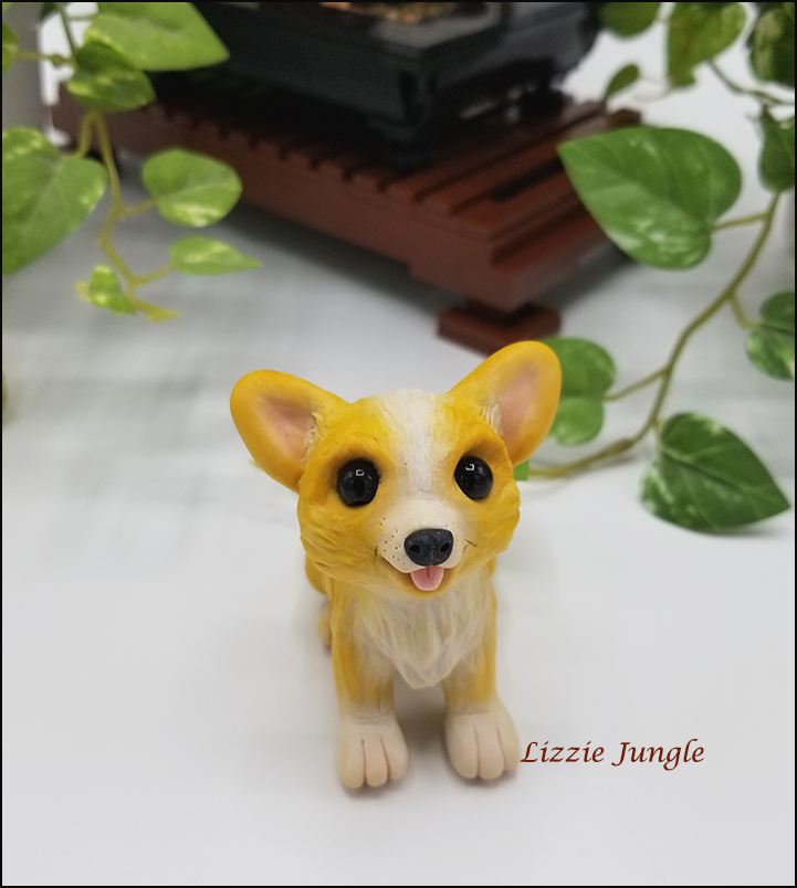 Kayla - Corgi Puppy