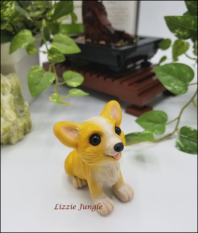 Kayla - Corgi Puppy