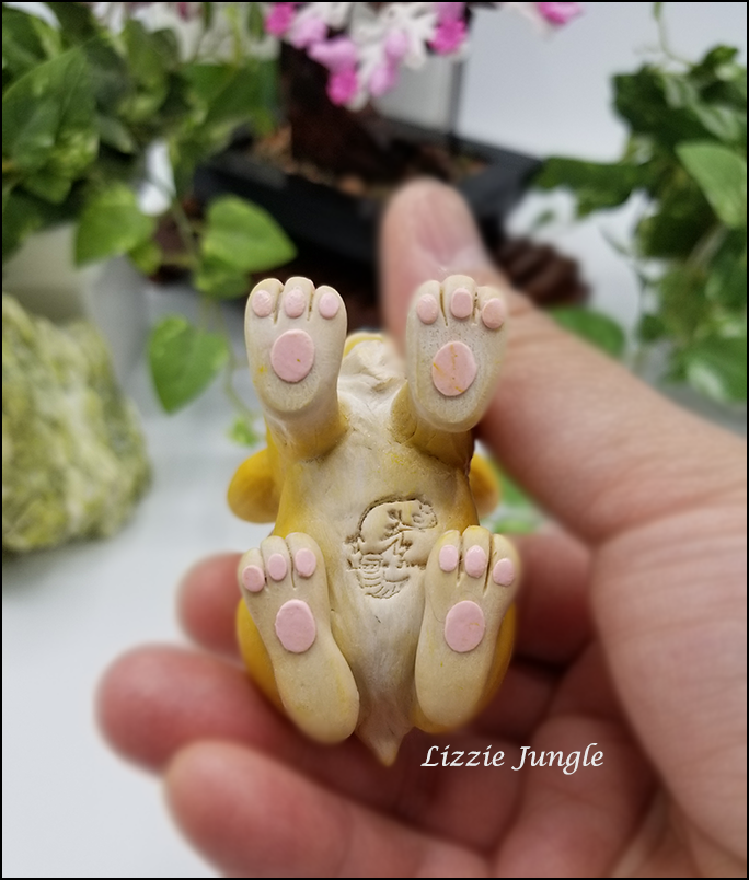 Kayla - Corgi Puppy