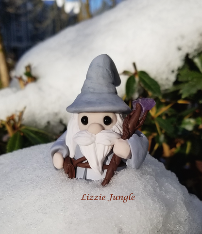 Wizard Gnome